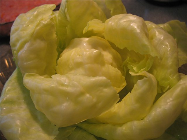 Stuffed cabbage (Cuckoo 1054)