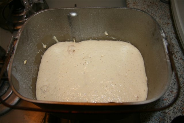 Anadama - Famous New England Bread (Peter Reinhart) (oven)