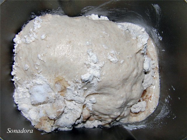 Pan integral con agua con gas (método de esponja)