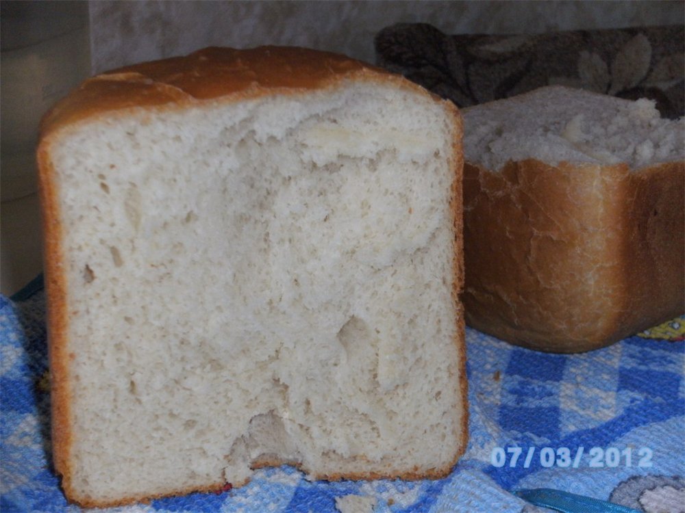 صانع الخبز Bork X500