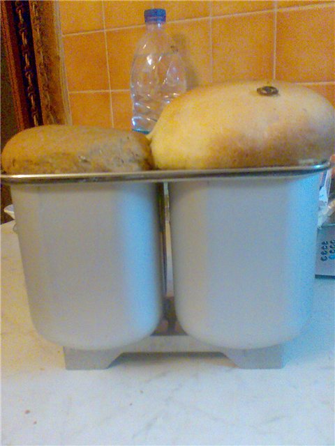 Oven for baking one large or two small loaves