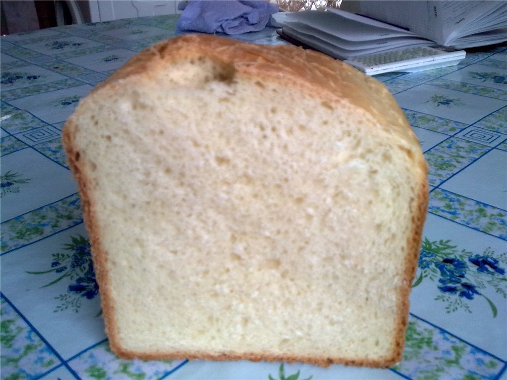 Bread Brick (wypiekacz do chleba)
