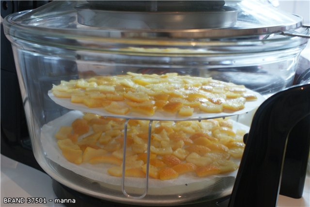 Candied citrus fruits in a slow cooker (Brand 37501)