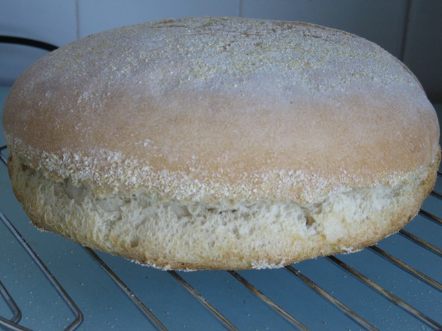 Pane di grano su pasta matura (autolievitazione)