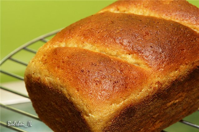 לחם תירס חום עם פתיתי שיבולת שועל, תרבות כשות מותססת עם מי גבינה.