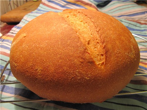 Wheat-rye bread for beginners (in the oven)