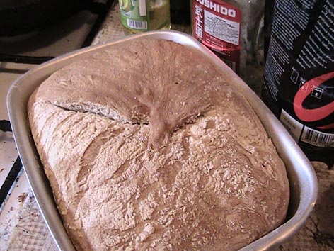 Pane di Como (Pane di Como) al forno (da non confondere con Pane di Come Antico)