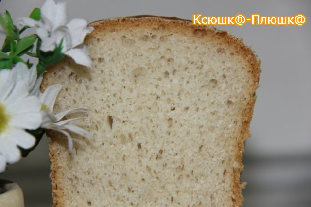 Dough wheat bread (bread maker or oven)