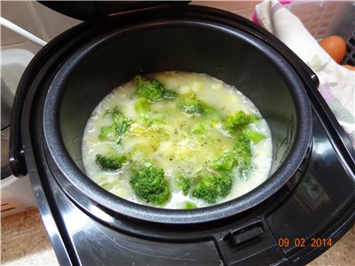 Brokolicová pyré s polévkou v REDMOND RMC-02