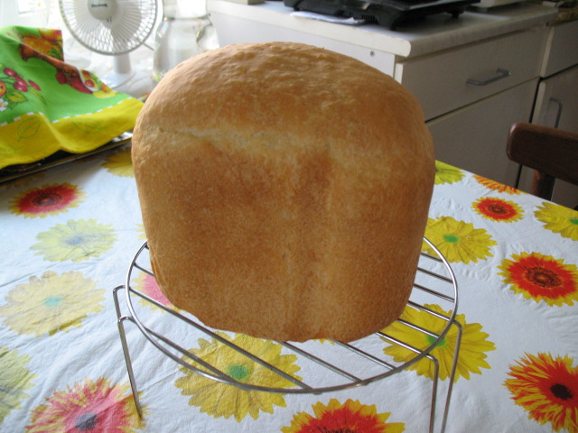 איזה יצרנית לחם לקנות?