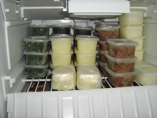 Home freezer - what can be stored in it and how to use it