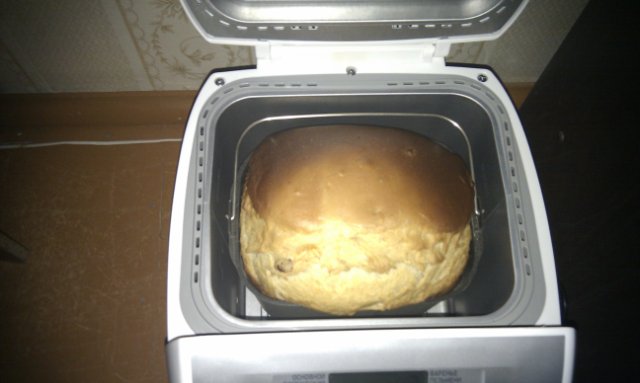 Baking in Panasonic SD-257