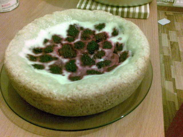 Sour cream pie with blackberries (Panasonic SR-TMH10)