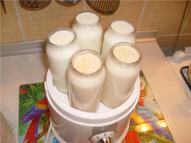 Yoghurt maker - selection, reviews, questions about operation (1)