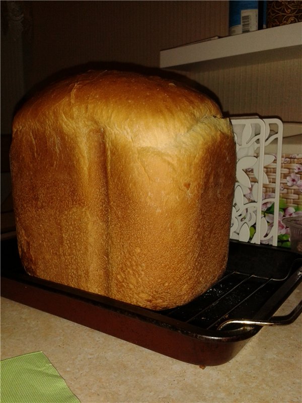 Wymiary chleba w Panasonic