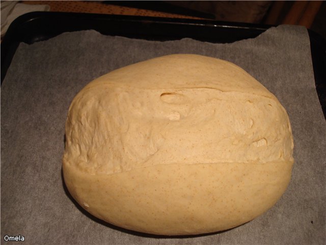 خبز خثارة القمح (فرن)