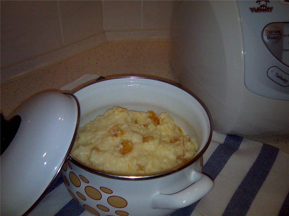 Zucca - porridge di miglio con zucca (Panasonic SR-TMH 18)