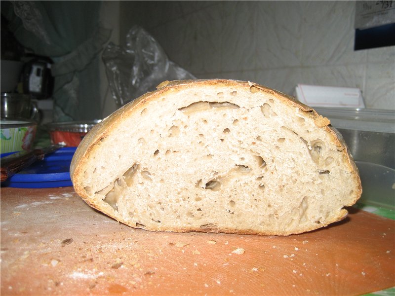 Pane a lievitazione naturale fatto con farina 1 grado (in una macchina per il pane)