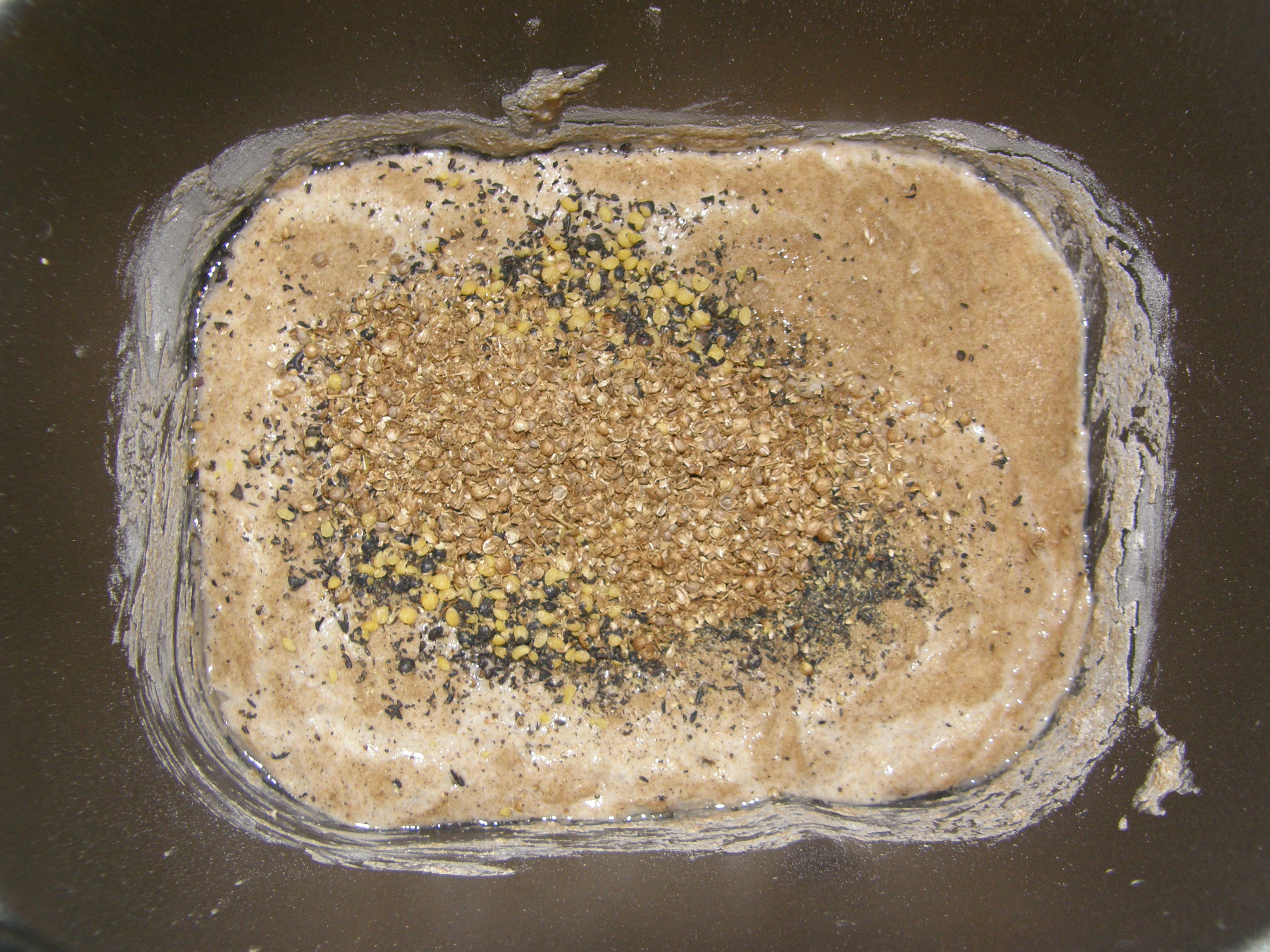 Rogge-tarwebrood met linzen en koriander.