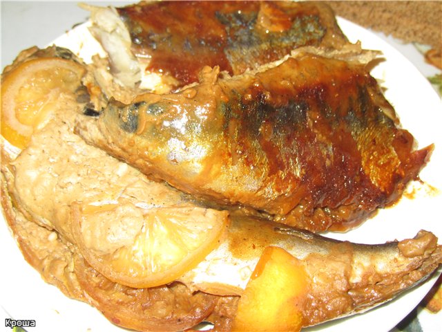 Mustard mackerel (Cuckoo 1054)