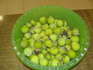 Sun-dried figs