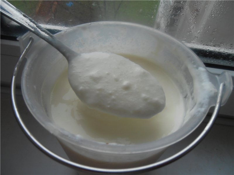 Yoghurt in Brand 3812 ijsmachine