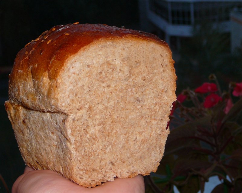 Volkoren Brood (Oven)