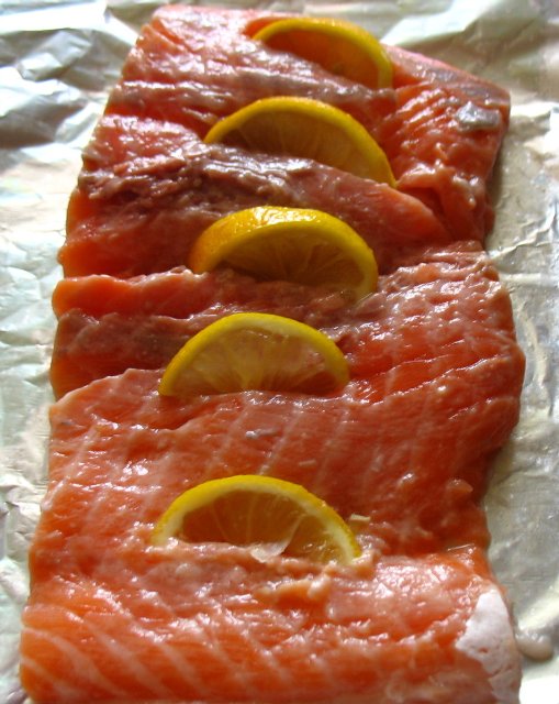 Lazy salmon