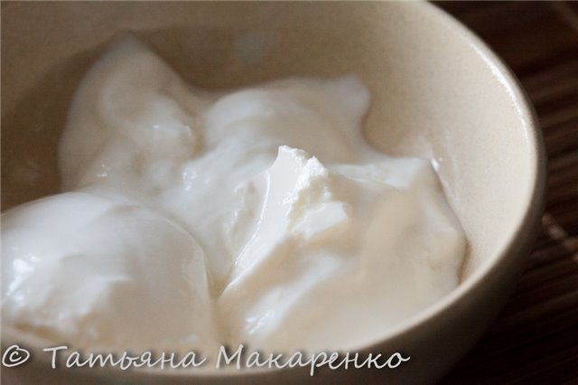 Joghurt (Steba DD1)