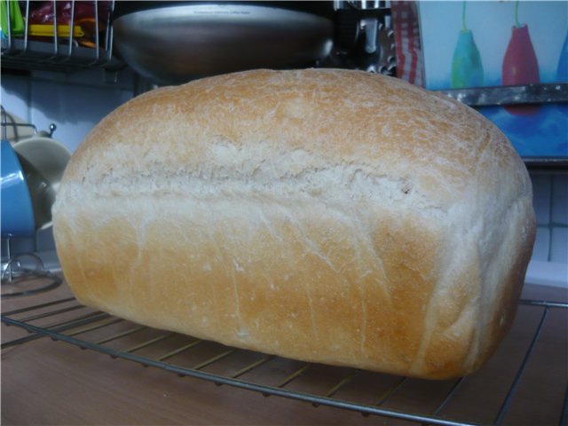 Pan de trigo de XAVIER BARRIGA (horno)