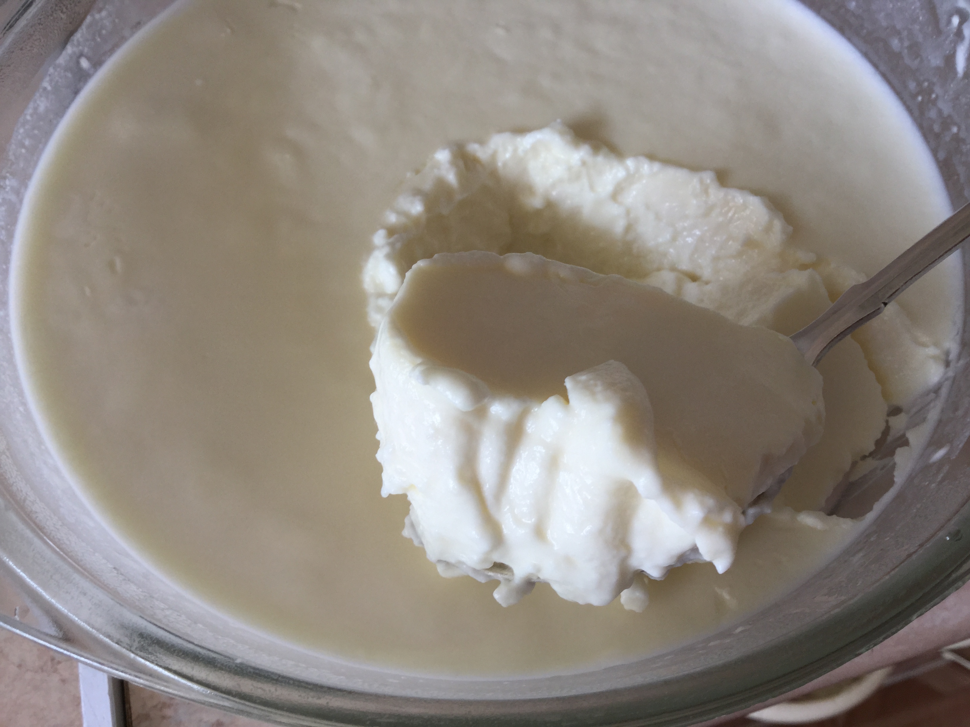 Yoghurt dessert (cartoon, yoghurt maker) - summer food for children and adults