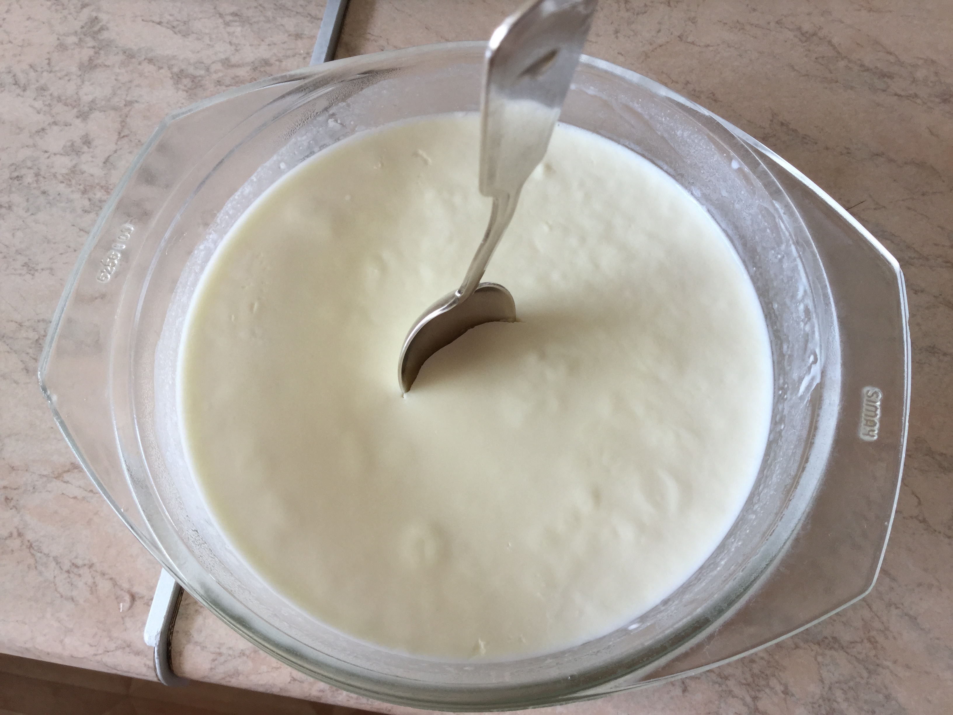 Deser jogurtowy (karton, ekspres do jogurtów) - letnie jedzenie dla dzieci i dorosłych