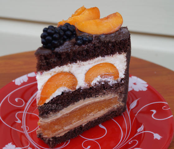 Cake Chocolade-abrikoos lekker