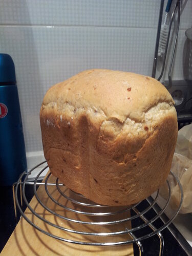 לחם בצל ביצרן לחם פנסוניק 2501