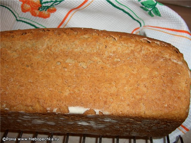 خبز القمح متعدد الحبوب. فئة رئيسية
