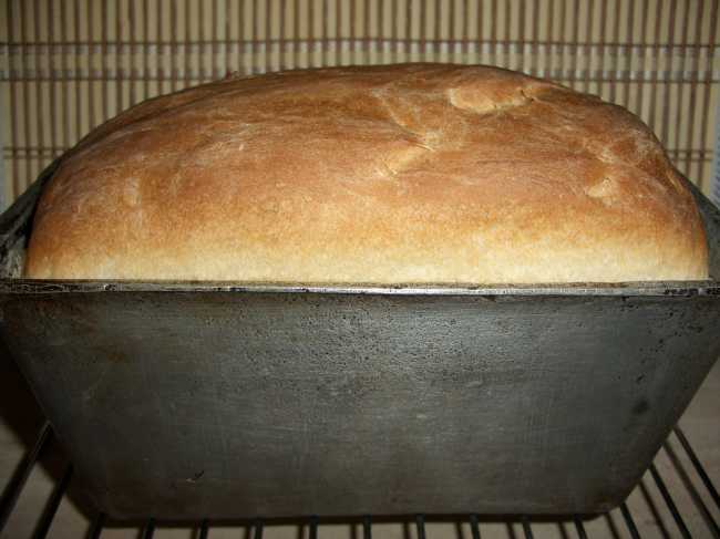 Usando infusión de kombucha para masa de pan