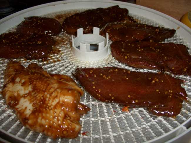 Carne marinata, essiccata in essiccatoio elettrico