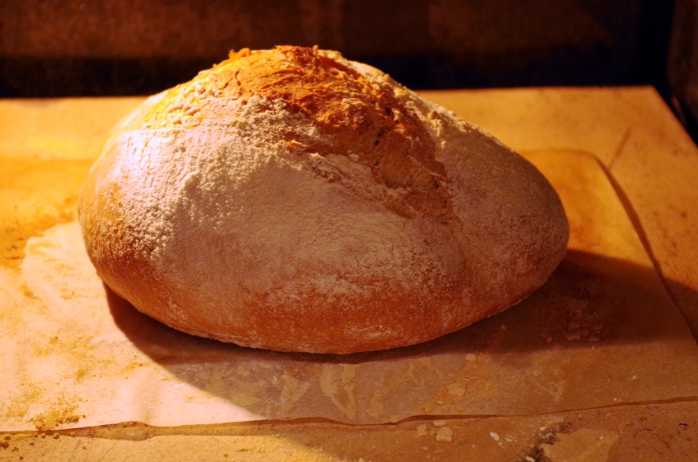 Ciasto chlebowe: znowu praca nad błędami