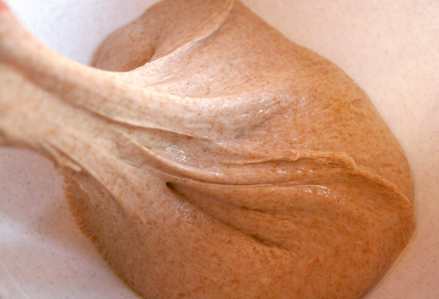 A proposito di mani e ganci - caratteristiche dell'impasto della pasta di pane