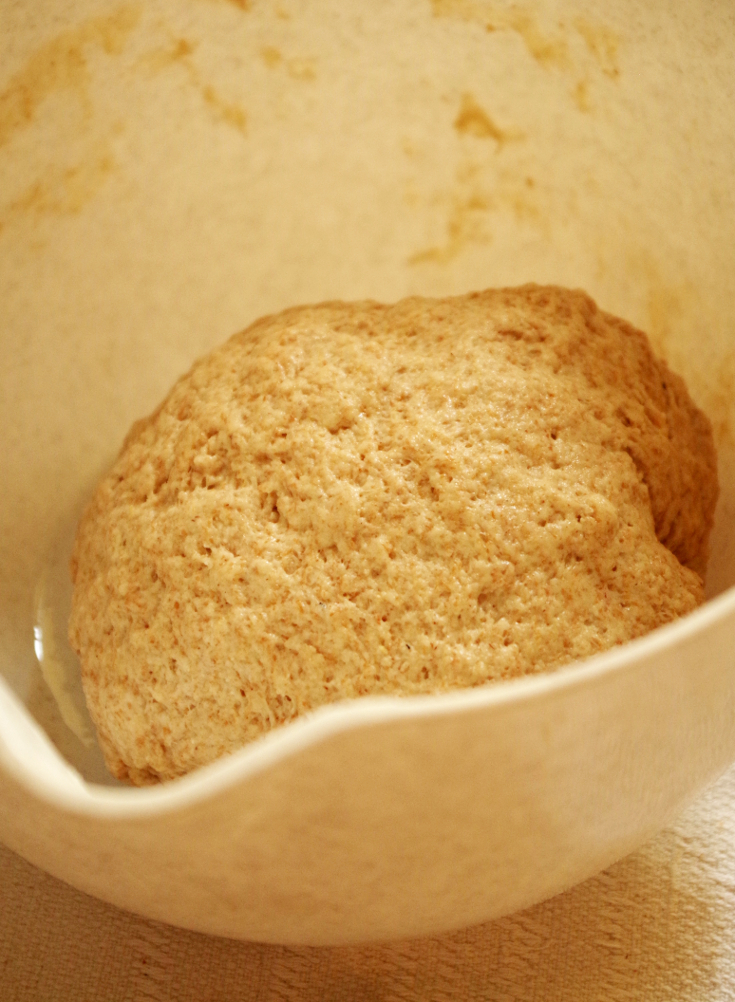 A proposito di mani e ganci - caratteristiche dell'impasto della pasta di pane