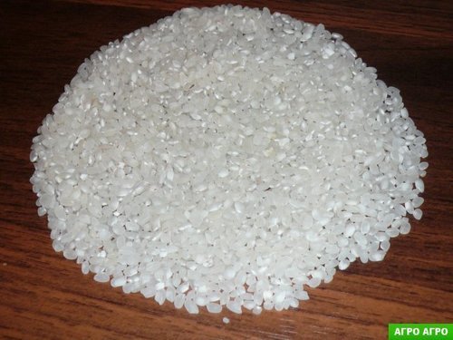 Types and varieties of rice