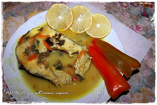 Pike with yellow saffron sauce