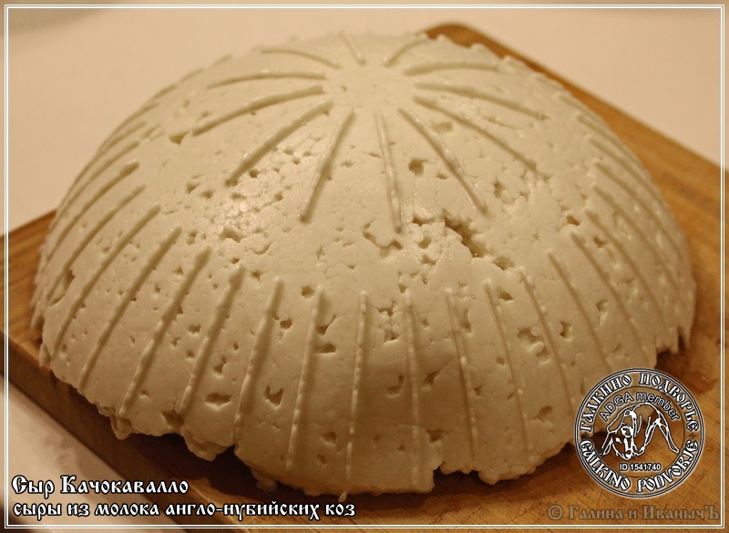 Cachocavallo-kaas gemaakt van Anglo-Nubische geitenmelk