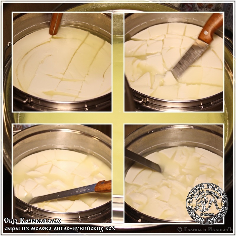 Cachocavallo-kaas gemaakt van Anglo-Nubische geitenmelk