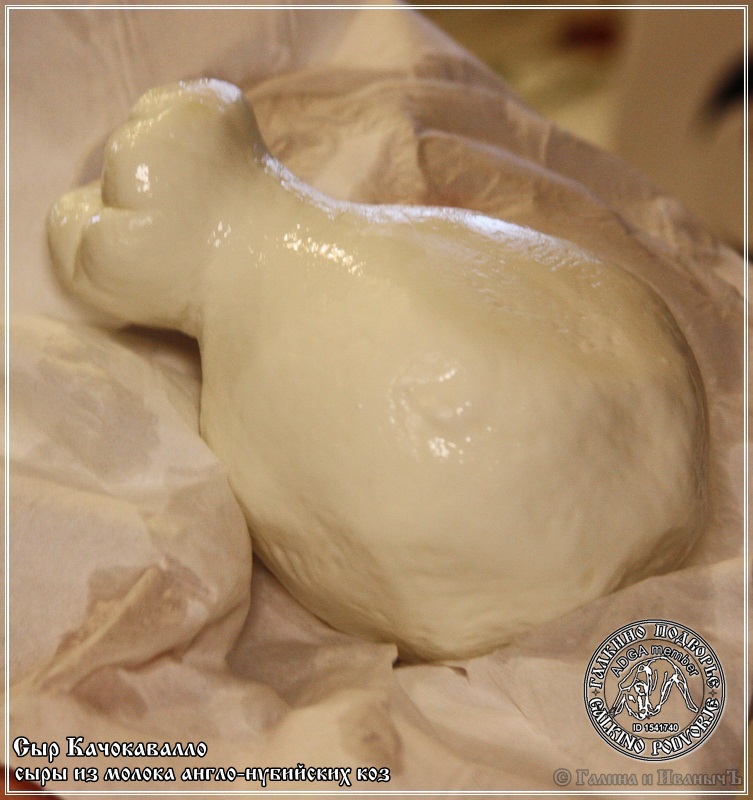 Queso cachocavallo elaborado con leche de cabra anglo-nubia