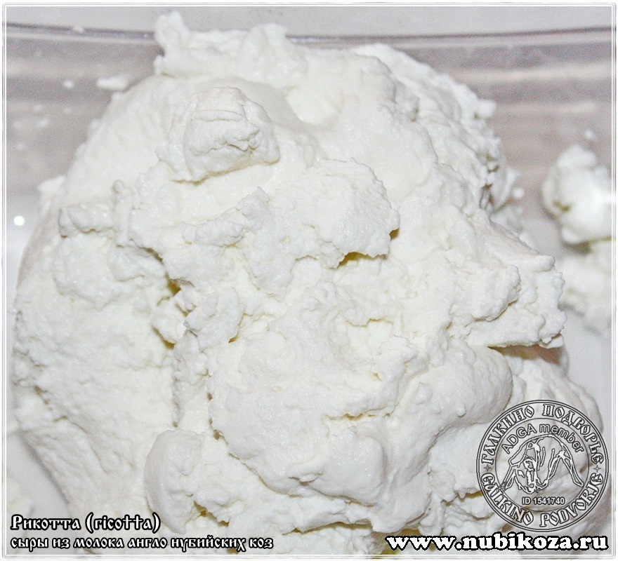 Ricotta (whey cheese made from Anglo-Nubian goat milk)