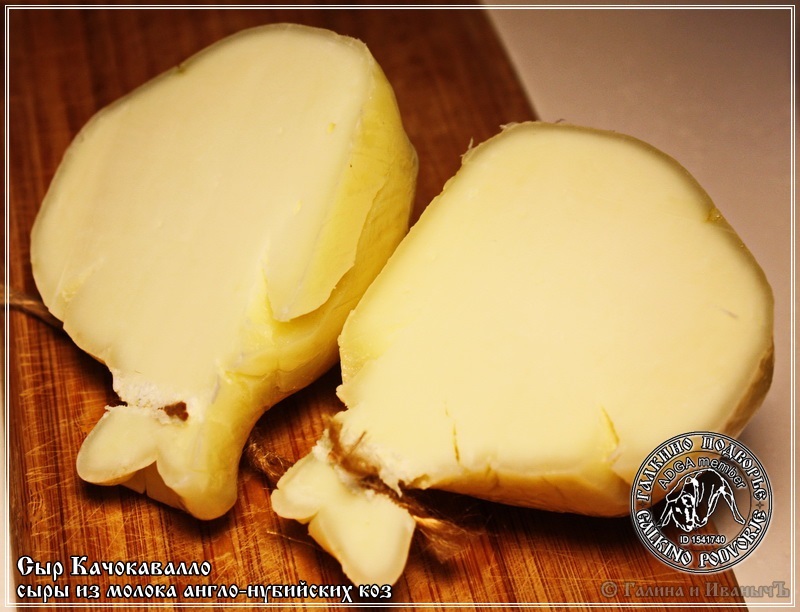גבינת Cachocavallo עשויה מחלב עזים אנגלו-נובית