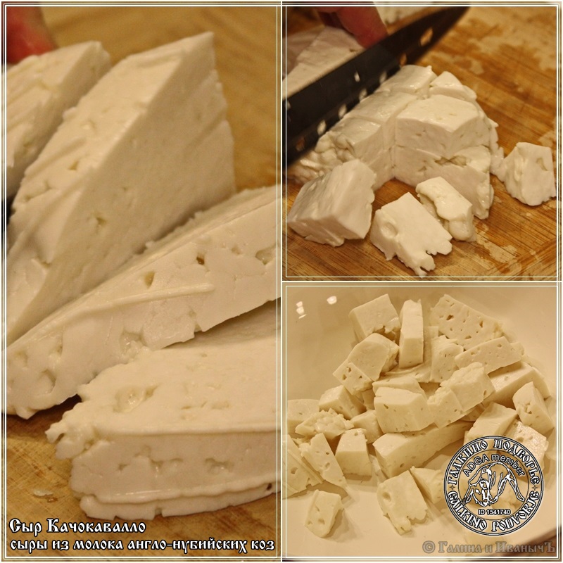 Angol-núbiai kecsketejből készült cachocavallo sajt
