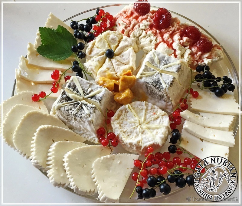 Ricotta (queso de suero elaborado con leche de cabra anglo-nubia)