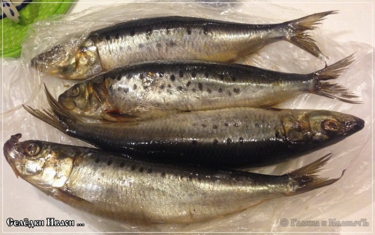 Eight particulars of herring (for all occasions)